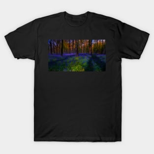 Cotswolds Bluebells T-Shirt